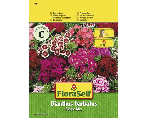 FloraSelf Bartnelken Single Mix Samenpackung