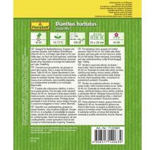 Verpackung mit Informationen zu Bartnelken Single Mix