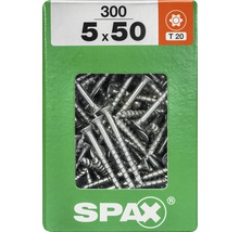 Verpackung mit 300 SPAX Schrauben, 5 x 50 Millimeter, T20 Torx Antrieb