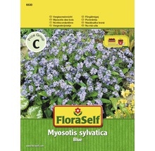 Vergissmeinnicht 'Blue' FloraSelf Blumensamen