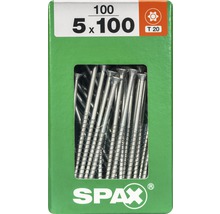 Packung mit 100 Schrauben, 5 x 100 Millimeter, mit T20 Torx Antrieb
