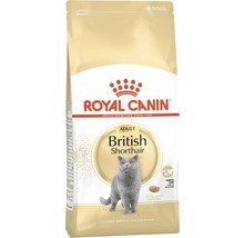 Royal Canin Adult British Shorthair Katzenfutter