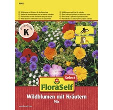 FloraSelf Wildblumen mit Kräutern Samenpackung