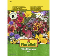 FloraSelf Wildblumen Mix Samenpackung