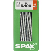 Spax Schrauben 6x100 Millimeter im Karton
