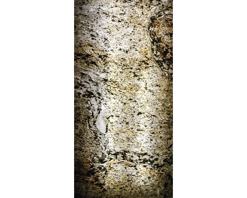 Nahaufnahme einer Wand mit Putzstruktur