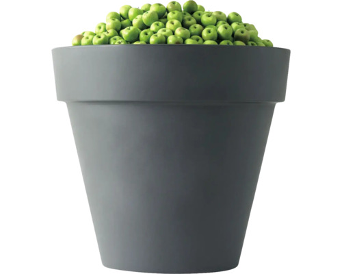 Grauer Pflanztopf gefüllt mit grünen Äpfeln.