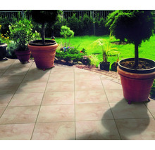Gartenszene mit Fliesenboden und Pflanzgefäßen