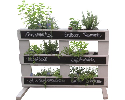 Bepflanzte Kräuterpalette mit Zitronenmelisse, Erdbeere, Rosmarin, Liebstöckel, Kugelthymian, Bohnenkraut, Basilikum und Oregano.