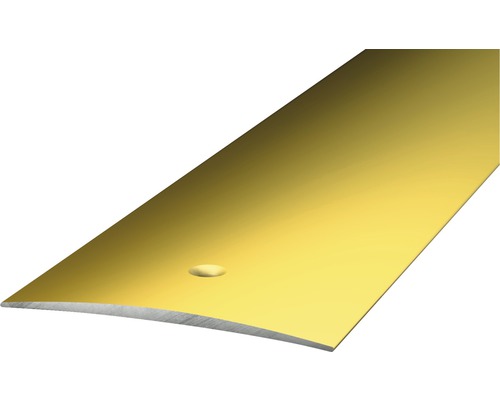 Übergangsprofil Alu gold gelocht 50 x 1000 mm