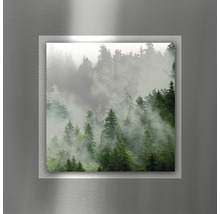 Wandbild mit Waldmotiv und Nebel