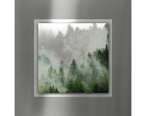 Wandbild mit Waldmotiv und Nebel
