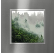 Wandbild mit Waldmotiv und Nebel