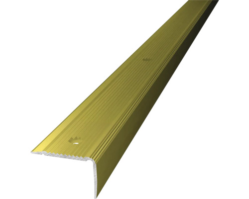 Prinz Treppenkantenprofil Alu gold gelocht 30 x 20 x 1000 mm Treppenkantenprofil aus Metall