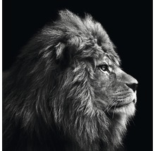 Löwenkopf im Profil