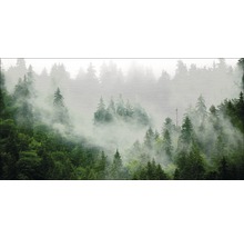 Nebelwald Tapete mit Baum Motiven