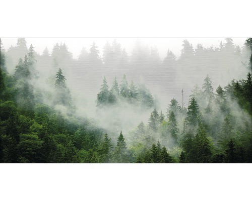 Nebelwald Tapete mit Baum Motiven