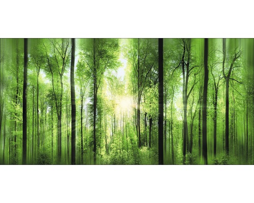 Heller Wald mit Bäumen