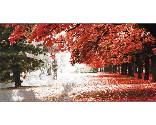 Herbstliche Parklandschaft mit Bäumen und Laub