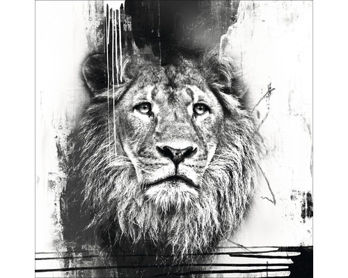 Originalbild Lion 100x100 cm