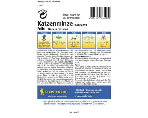 Samenpackung Katzenminze mehrjährig Felix – Nepeta faassenii