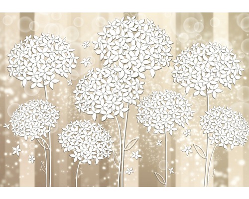 Fototapete Papier 3500P8 Blumen weiß beige 4-tlg. 368 x 254 cm