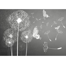 Fototapete Papier 3712P4 Pusteblume grau 2-tlg. 254 x 184 cm-thumb-0