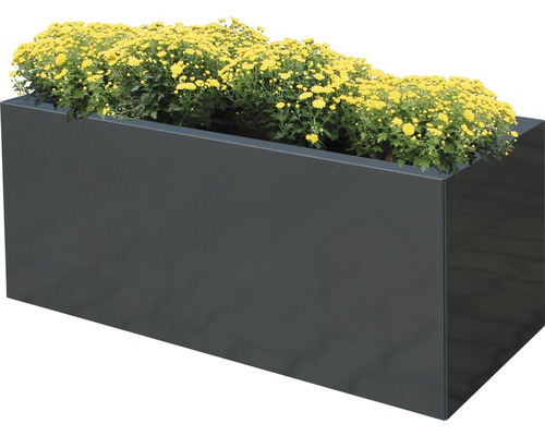 Pflanzkübel Palatino Lotte Metall 120 x 40 x 50 cm anthrazit Rechteckiger Pflanzkasten mit gelben Blumen