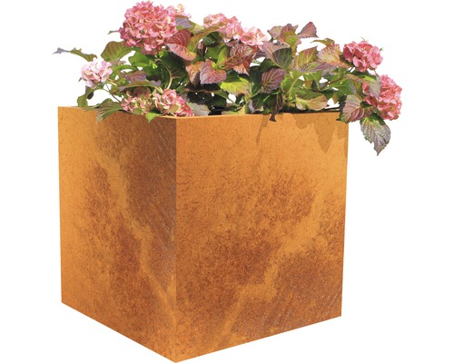 Pflanzkübel Palatino Nora Corten-Stahl 60x60x60 cm rost Quadratischer Pflanzkübel aus Metall mit Pflanzen