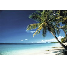Tropischer Strand mit Palmen und klarem Wasser
