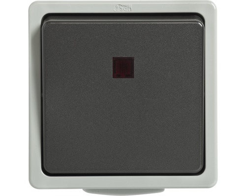 Feuchtraum Kontroll/Wechselschalter Aufputz IP54 hellgrau/dunkelgrau Standard IP54 Lichtschalter mit IP54 Schutzart