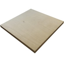 Quadratische Furniersperrholzplatte