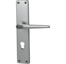 Türgriff aus Metall mit Langschild
