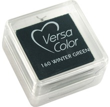 Versa Color Stempelkissen Wintergrün im transparenten Behälter
