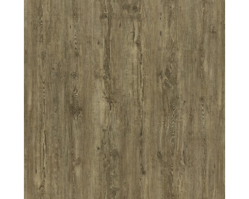 Vinylboden Tuscan Pine Landhausdiele Klickverbindung 1220 x 185 x 10,5 mm