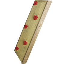 Kletterwand aus Holz mit Klettersteinen