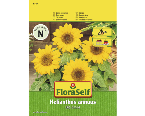 Sonnenblume 'Big Smile' FloraSelf samenfestes Saatgut Blumensamen