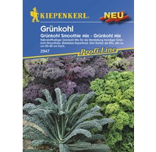 Grünkohl Kiepenkerl 'Smothie Mix' Gemüsesamen-thumb-0
