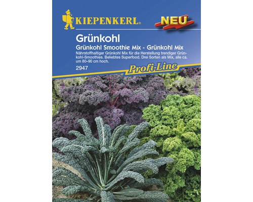Grünkohl Kiepenkerl 'Smothie Mix' Gemüsesamen-0