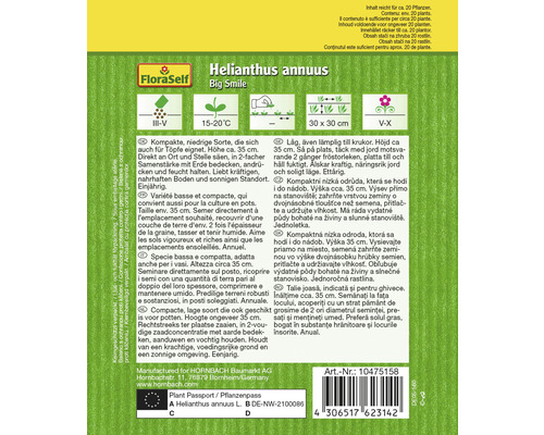 Informationen zu Helianthus annuus Big Smile Pflanzensamen