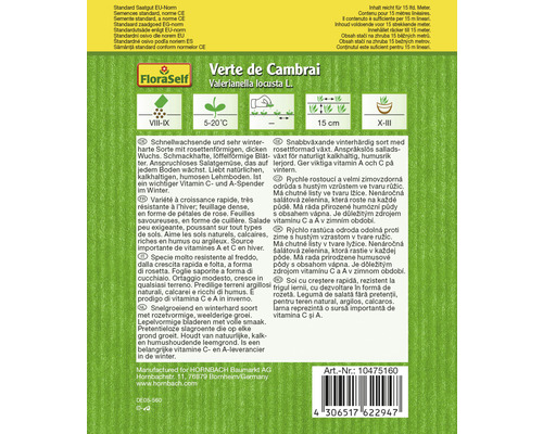 Verte de Cambrai Feldsalat samentresicher
