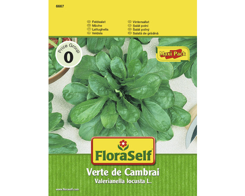 Feldsalat 'Verte de Cambrai' FloraSelf Salatsamen Vorteilspackung samenfestes Saatgut Feldsalat Samen Maxi Pack