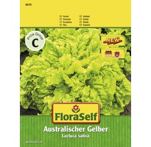 FloraSelf Australischer Gelber Pflücksalat Samen
