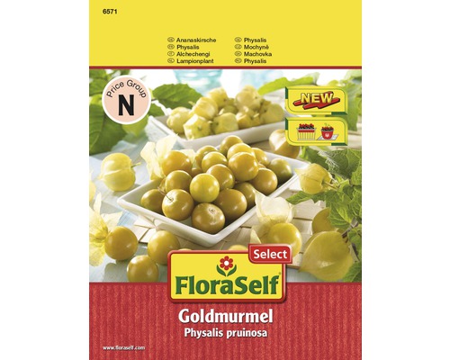 Physalis 'Goldmurmel' FloraSelf Select samenfestes Saatgut Gemüsesamen Physalis 'Goldmurmel' FloraSelf Select samenfestes Saatgut Gemüsesamen