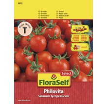 Tomate 'Philovita' FloraSelf Select F1 Hybride Gemüsesamen-thumb-0