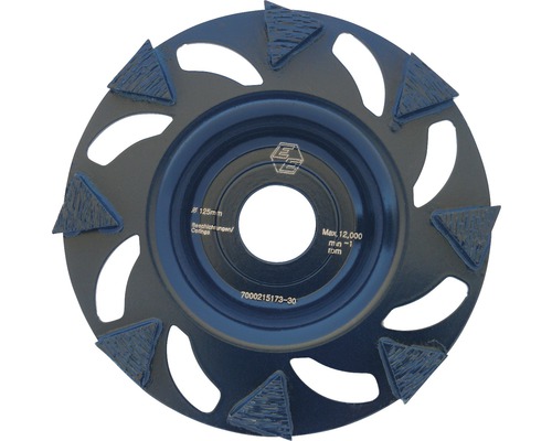 Diamantschleifteller Eibenstock Ø 125x22,22 mm Rapid Farbe Schleiftopf mit Schleifsegmenten, Durchmesser 125 mm