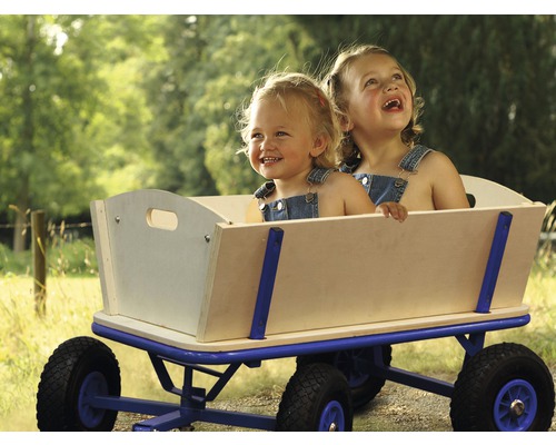 Zwei Kinder sitzen in einem Bollerwagen mit Holzaufbau und blauen Metallgestell.