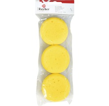 Drei runde Malerschwämme in transparenter Verpackung