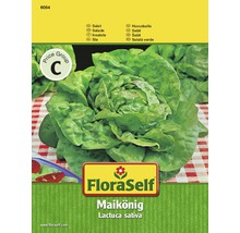 FloraSelf Maikönig Pflücksalat Samenpackung