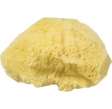 Naturschwamm